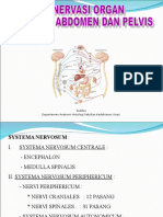 Innervasi Thorax, Abdomen Dan Pelvis 2014