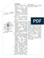 BIOTA LAUT.docx