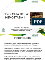 Agosto 28 - Fibrinolisis