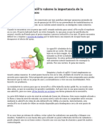 Estrategia de Inversión Valores La Importancia de La Mentalidad Del Dinero