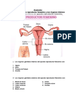 Anatomía