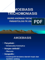amoebiasis trichomoniasis