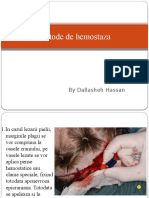 hemostaza