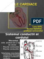 Aritmiile Final