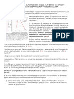 Efecto de La Cantidad de Superposición de Los Filamentos de Actina y Miosina Determina La Tensión Desarrollada Por El Músculo en Contracción