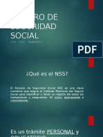 Número de Seguridad Social