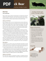 Cause and effect essay ielts simon picture