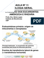 Evolução dos Eucariontes: Amebozoa e Rhizaria