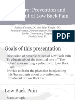 omt_the_core__prevention_and_treatment_of_low_back_pain.pdf