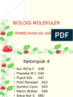 Biologi Molekuler
