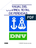 Seguridad y Control Total de Perdidas DNV