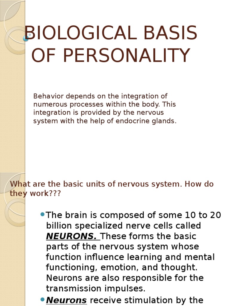 Biological Basis of Personality | PDF | Nervous System | Neuron