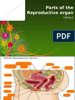 Parts of The Reproductive Organ