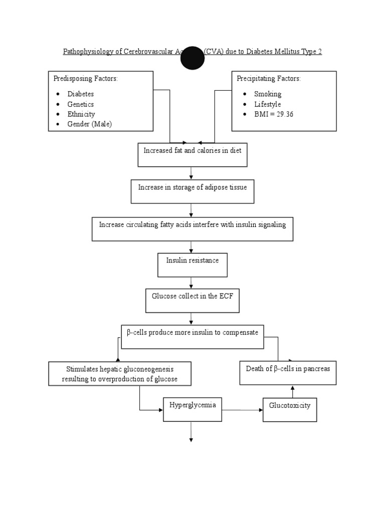 Pathophysiology of CVA D/T DM | PDF