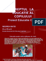 Proiect Civica