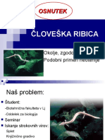 Človeška Ribica