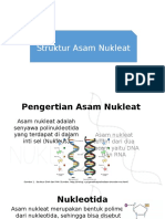 Struktur Asam Nukleat