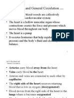 Bb-bio Lec 9-Heart-gen Circ 6-11 HANDOUTS