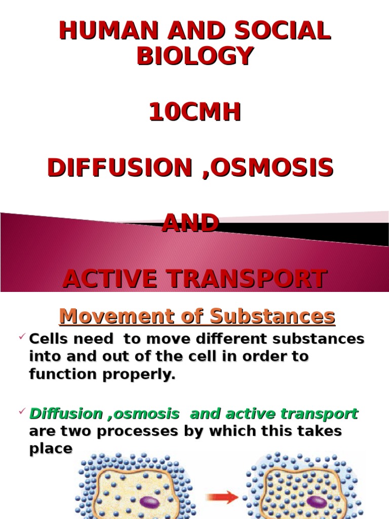 Diffusion Osmosis and Active Transport | PDF | Osmosis | Diffusion