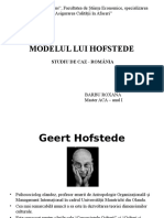 Modelul Lui Hofstede, Studiu de Caz 