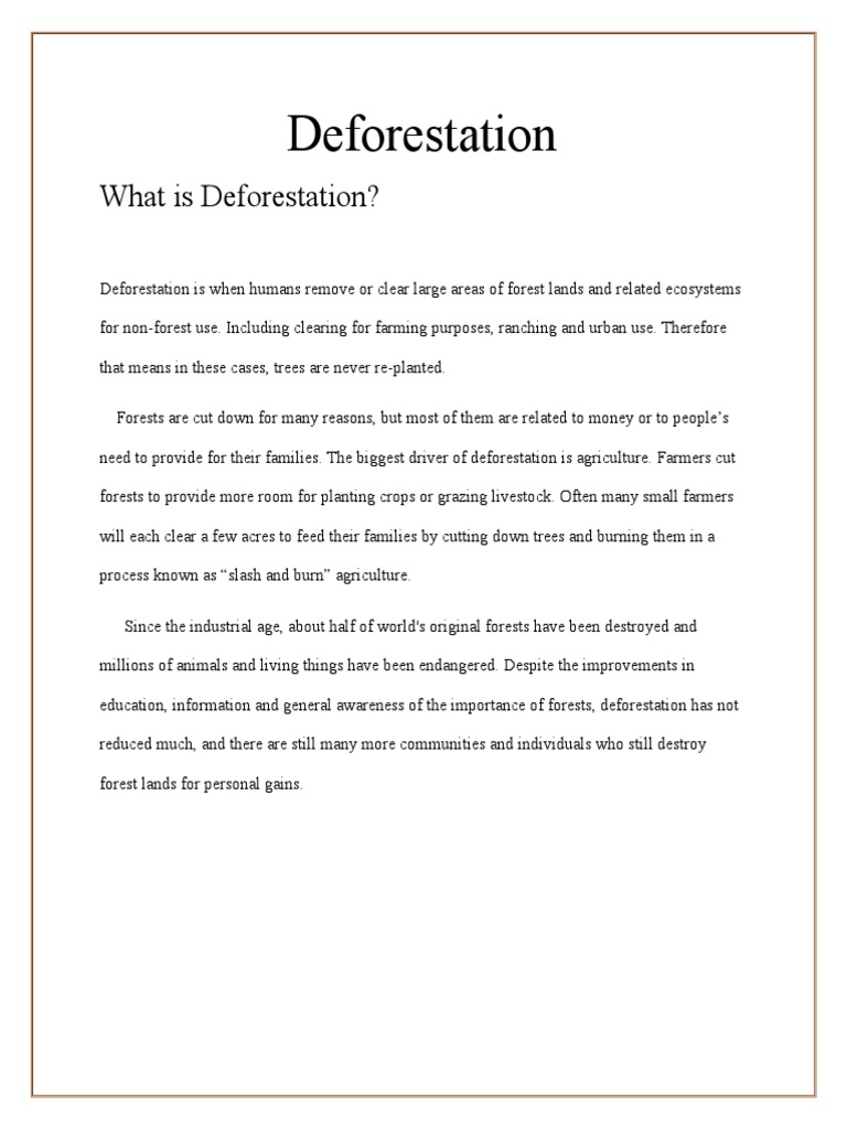 Causes and Effects of Deforestation | PDF | Deforestation | Logging