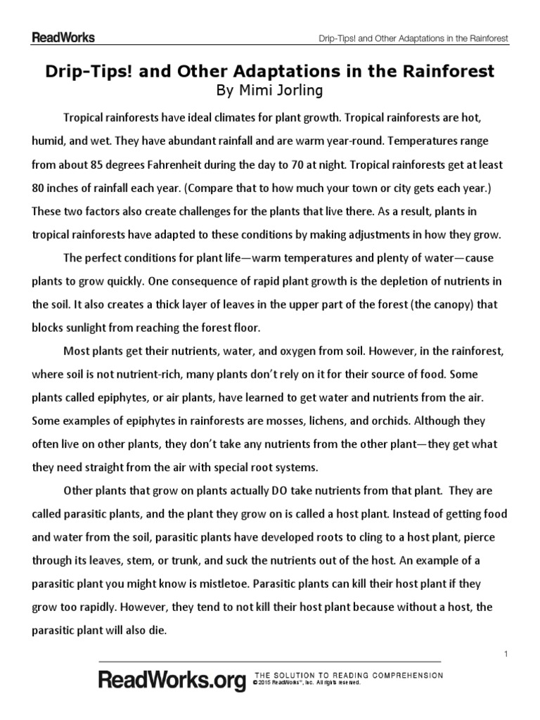 Drip Tips and Other Adaptations in The Rainforest 1070 Passage and Questions 0 PDF
