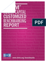 Human Capital Report Sample