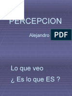 Percepcion (Lo Que Veo)