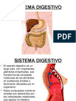 Salud Fisica Unidad 7 Sistema Digestivo