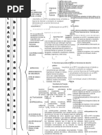 Cuadros Sinopticos de Obigaciones de empresa