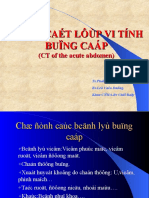 CT Bung Cap