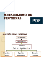 Metabolismo de Proteinas