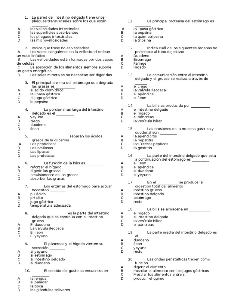Test Digestivo Sistema digestivo humano Digestión