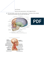 Brain Haematoma