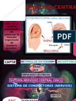 Farmacología Del Sistema Nervioso Central