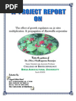 Download In Vitro Multiplication of Rouwolfia Serpentina by YBPATEL by Yogesh Patel SN30461196 doc pdf