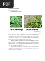 Download Kemangi Dan Selasih by Ikuzo Arif Wicaksono Ganbaru SN304618230 doc pdf