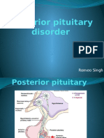 Posterior Pituitary Disorder Romeo