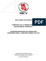 323SIO_ICC_Borgarelli[2].pdf