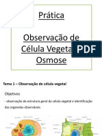 Prática - Observação de Célula Vegetal e Osmose - 1 Slide PDF