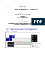 Protocolo de Microssatelites