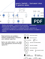 ConsGen - Curs6 - PEDIGRIU