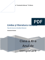 clasa_a_11a_brosura_an_de_completare.pdf