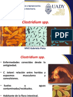 Clostridium 2016 PDF