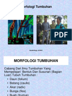 2) Morfologi Daun 10sept2015