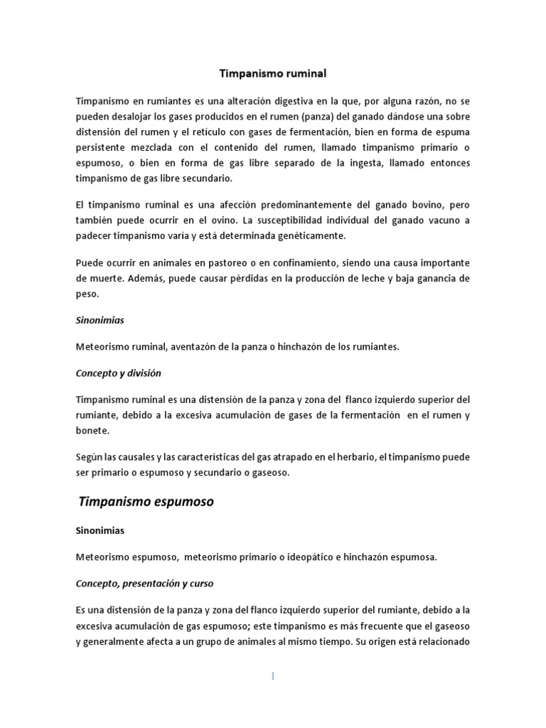 Timpanismo ruminal