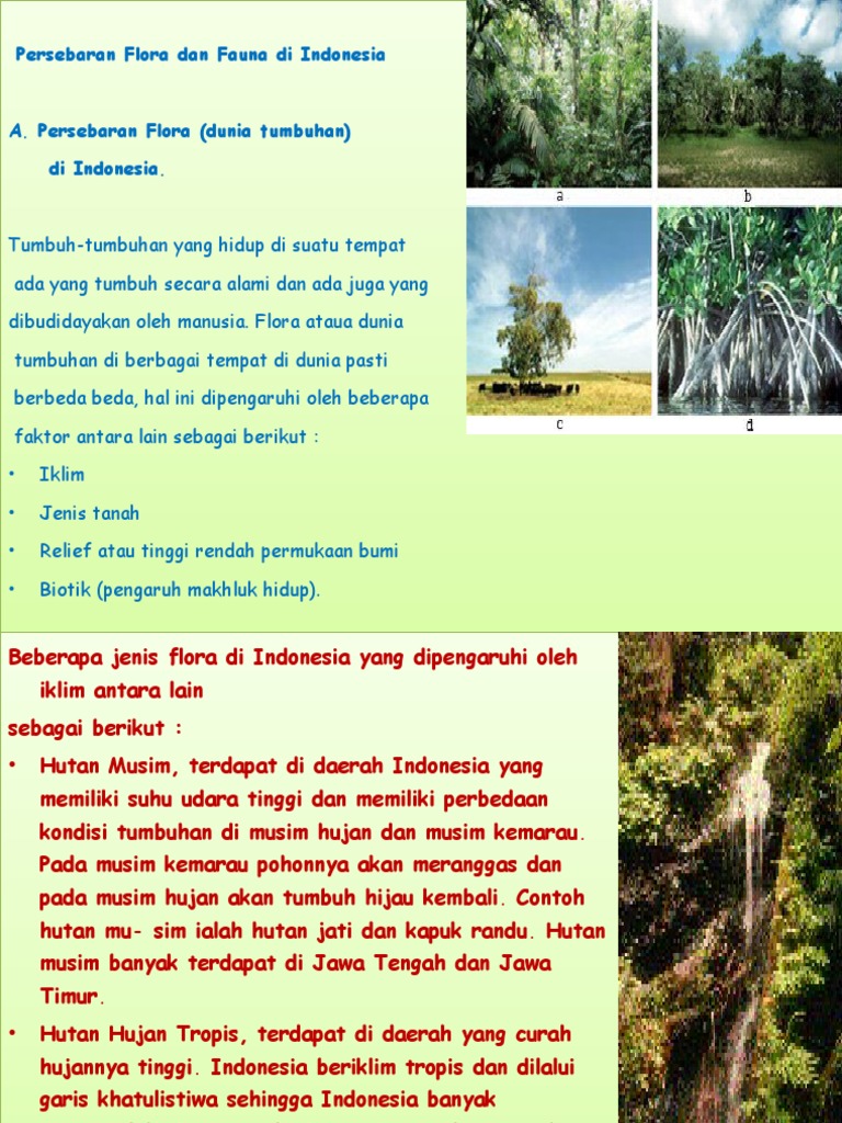 Unduh 900 Gambar Flora Dan Fauna Yang Ada Di Indonesia Terbaik Gratis