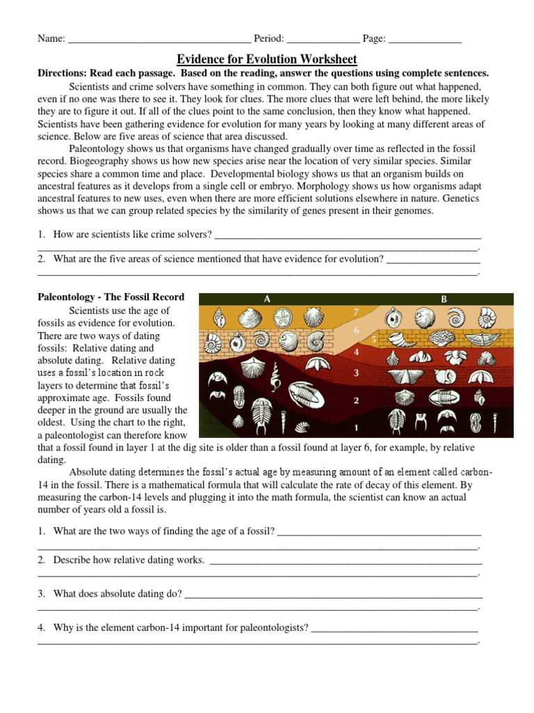 Evidence For Evolution Worksheet  Evolution  Fossil Within Evidence Of Evolution Worksheet