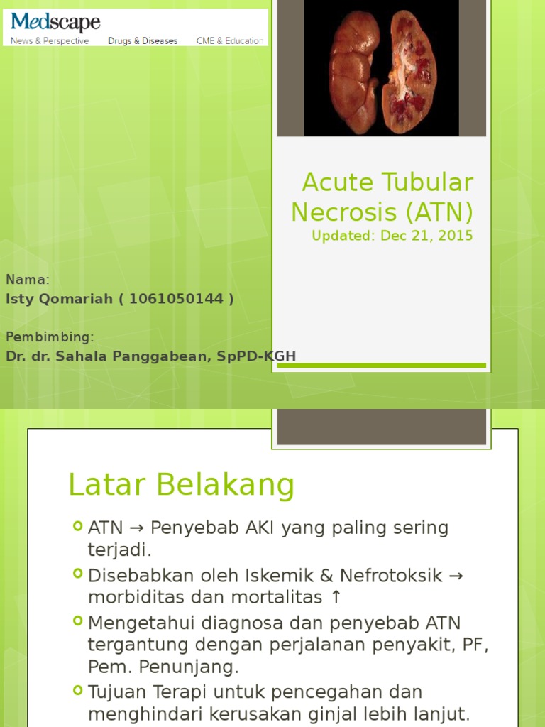 Penyebab dan Penanganan ATN Ginjal | PDF | Sains & Matematika