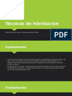 Técnicas de Hibridacion